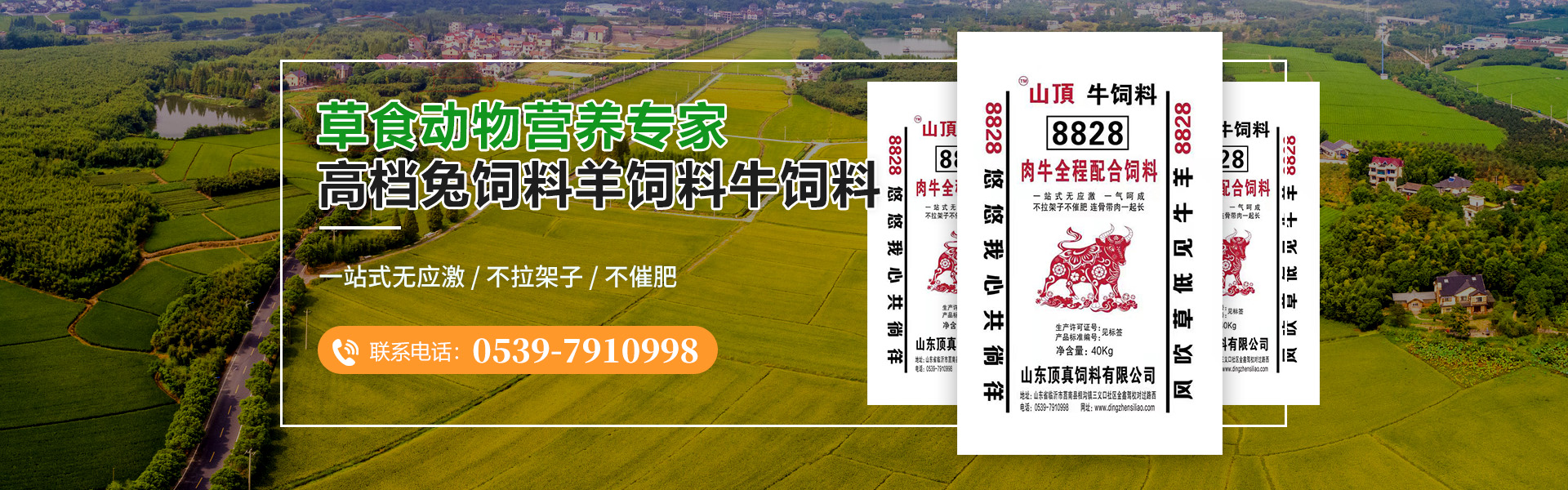 適用于輸送易于掏取的粉狀、粒狀、小塊狀的低磨琢性物料及袋裝物料